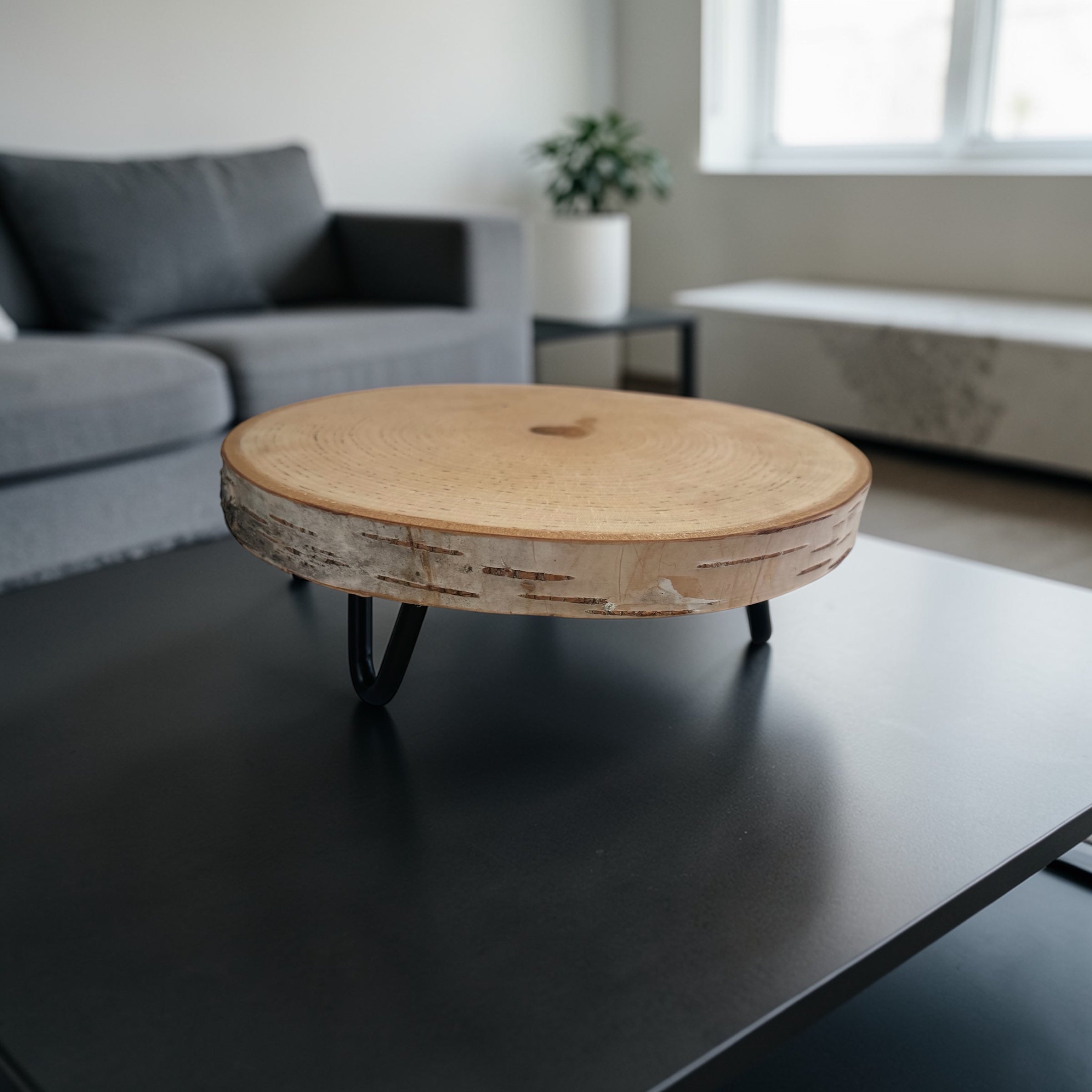 Natural Birch Wood Slice Pedestal